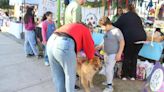 Para los amantes de perros y gatos, se viene la 2° Feria de Mascotas en Mendoza | Sociedad