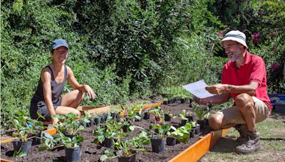 Dejaron atrás sus carreras e hicieron de su amor por la naturaleza un emprendimiento