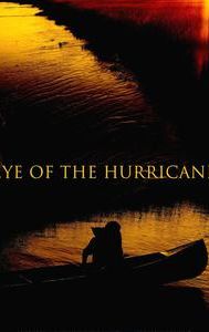 Eye of the Hurricane (2012 film)