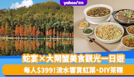 香港好去處｜蛇宴×大閘蟹美食觀光一日遊！流水響賞紅葉、DIY茶粿...