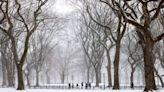 Una rápida pero intensa tormenta proveniente del noreste podría provocar en Nueva York la mayor nevada en más de 2 años
