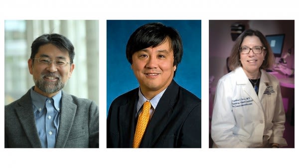 Three Johns Hopkins Medicine Researchers Named Fellows of the American Association for the Advancement of Science