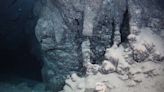 ‘Unusual’ creature found in dark underwater cave turns out to be a new species. See it