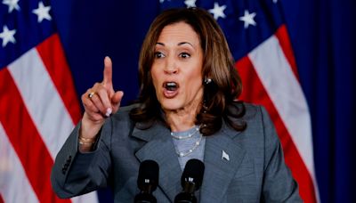 Coconut tree jokes and a love of Venn diagrams: Kamala Harris’s strangest soundbites