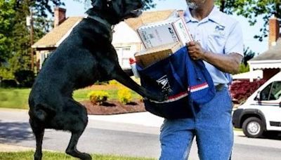 Los Angeles ranks number 1 in dog bites to Postal Service employees