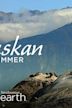 Alaskan Summer