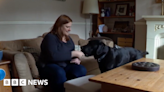 Assistance dog turns RSPCA inspector's life around after stroke