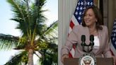 Kamala Harris' Coconut Tree Meme Goes Viral Again: What’s Behind The Buzz?