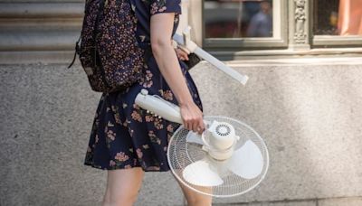 Environment Canada issues multiple warnings as B.C. braces for weekend heat | CBC News