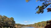 Want to hike in Mashpee? Try these trails, from a rare old-growth forest to a beach walk