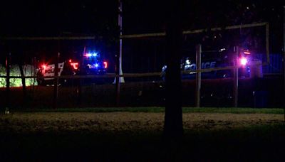 4 injured in shooting during gathering at a park in North St. Paul