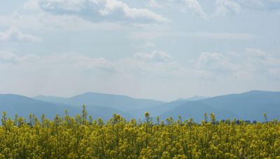 Four small wildfires pop up around southwest Montana over the weekend