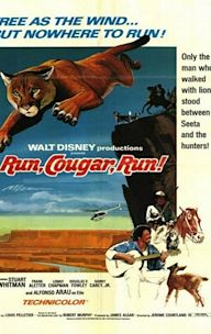 Run, Cougar, Run