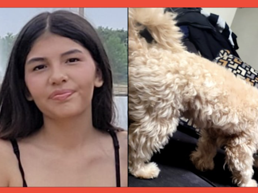 14-year-old reported missing after taking family dog for walk in Loudoun County