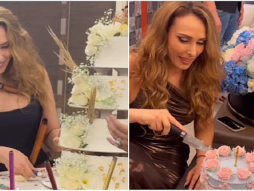 WATCH: Iulia Vantur shares inside glimpses from her birthday bash; Arbaaz Khan cheers as she cuts cake