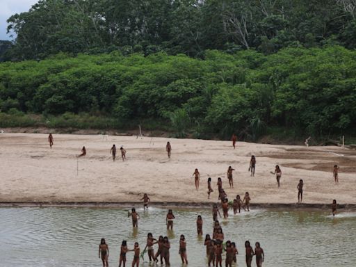 Uncontacted tribe sighted in Peruvian Amazon where loggers are active