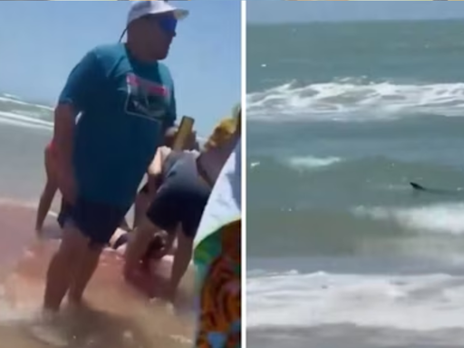 Caught on Cam: Sea Water Turns Red As Shark Attacks 4 People In Texas, Horrifying Video Goes Viral