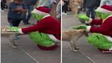 Grinch se hace viral tras negarse a tomarse foto con un niño diciéndole groserías