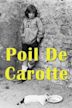 Poil de Carotte