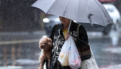 把握好天氣！明高溫恐飆破36度 這日起變天「雷陣雨連炸3天」