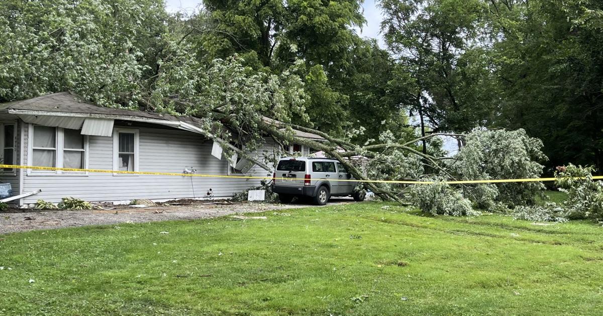 UPDATE: Cedar Lake woman was killed in bedroom by tree uprooted by Monday's storm, cops say