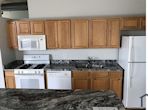 1524 S Sangamon St, Chicago IL 60608