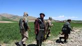 La violenta erradicación del opio en Afganistán
