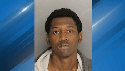 Surveillance footage leads to quick arrest in Berkeley County drive-by shooting