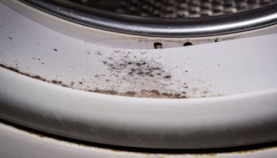 Remove washing machine seal mould in 10 minutes with 59p ingredient expert loves