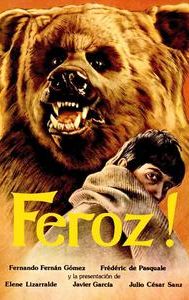 Feroz (film)