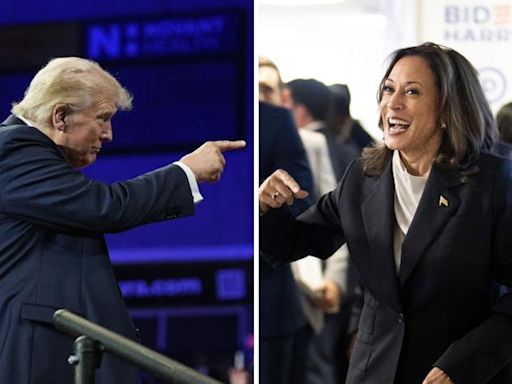 Donald Trump campaign launches new ads in battleground states; calls Kamala Harris 'dangerously liberal'