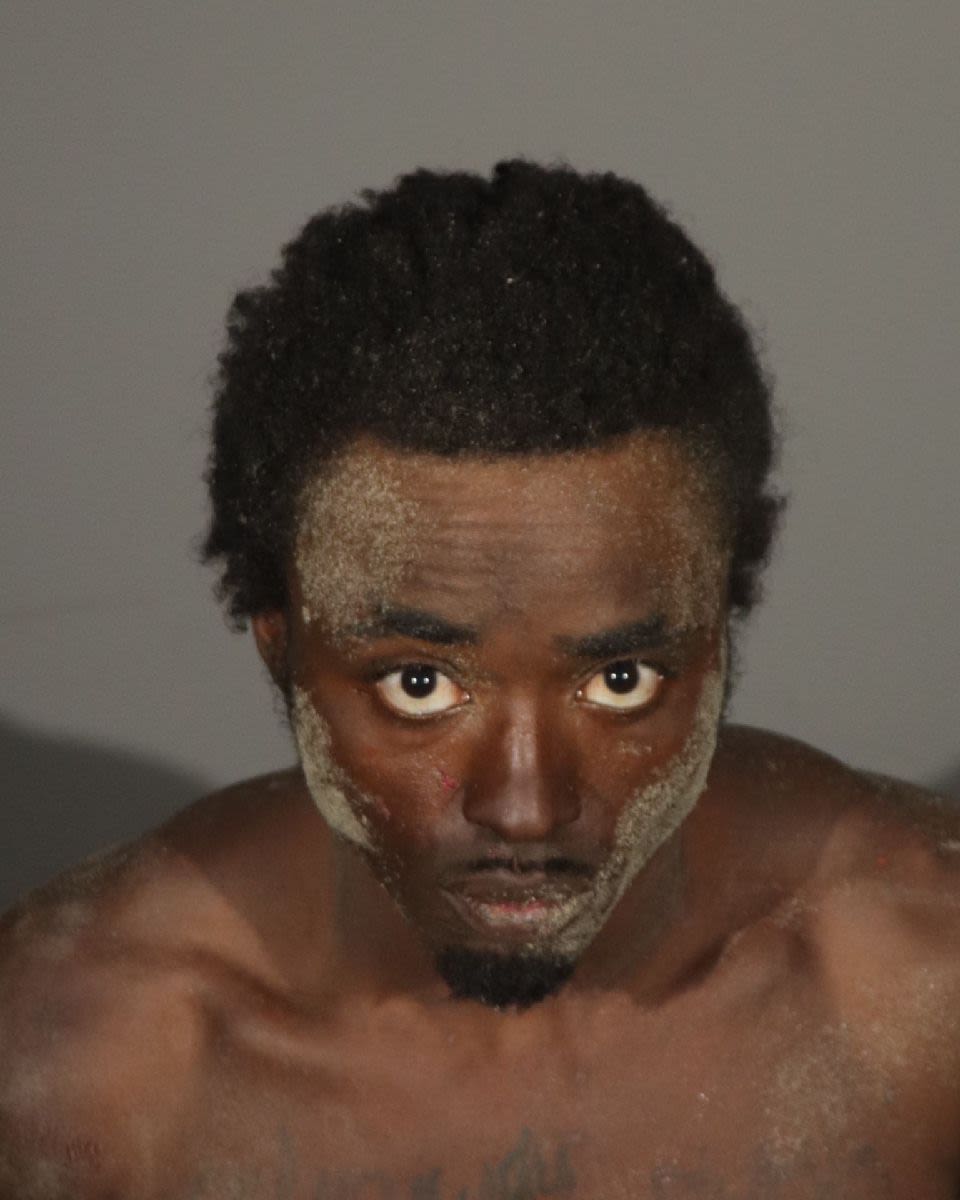 Jawann Garnett Arrested For Attempted Murder By SMPD - Canyon News