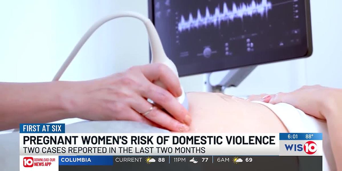 Domestic violence advocates say pregnancy is a risk factor for victims