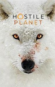 Hostile Planet