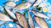 ¿Qué le pasa a mi cuerpo cuando como pescado? Cinco beneficios para la salud de comerlo con regularidad