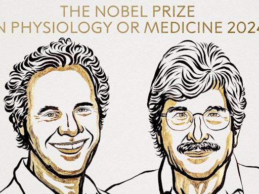 Premio Nobel de Medicina: Víctor Ambros y Gary Ruvkun, galardonados por el descubrimiento del microARN