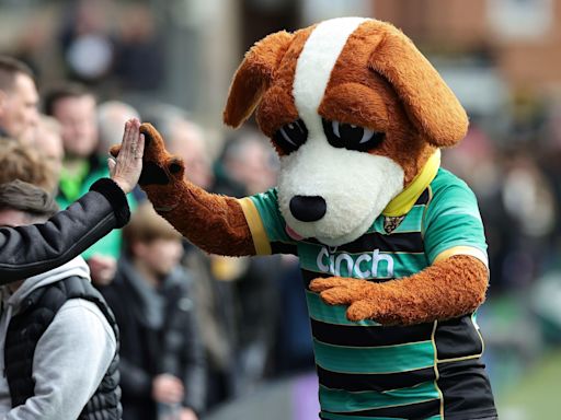 Rugby club on the hunt for new hot dog mascot