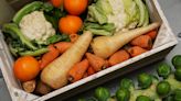 Plant-based diet ‘may potentially help people with cancer live longer’