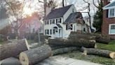 Large tree falls on home in Montgomery County