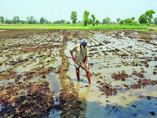 Why small farmers remain anxious about the monsoon | India News - Times of India