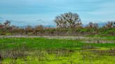 California State Parks Begins General Planning Process for Great Valley Grasslands State Park in Merced County