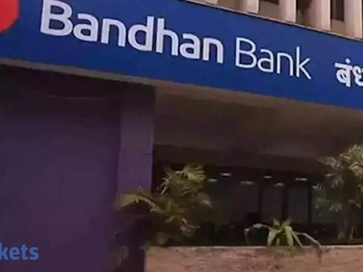 Bandhan Bank reports 47 pc jump in net profit to Rs 1,063 crore in Q1FY25 - The Economic Times
