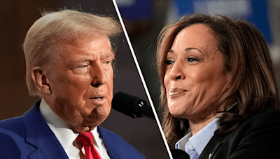 Trump faces night-and-day difference in debate with Harris