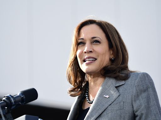 Harris culpa a Trump de nueva ley de aborto en Florida y de asalto a la salud reproductiva