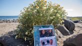 Mother of Australian surfers killed in Mexico gives moving tribute to sons at a beach in San Diego