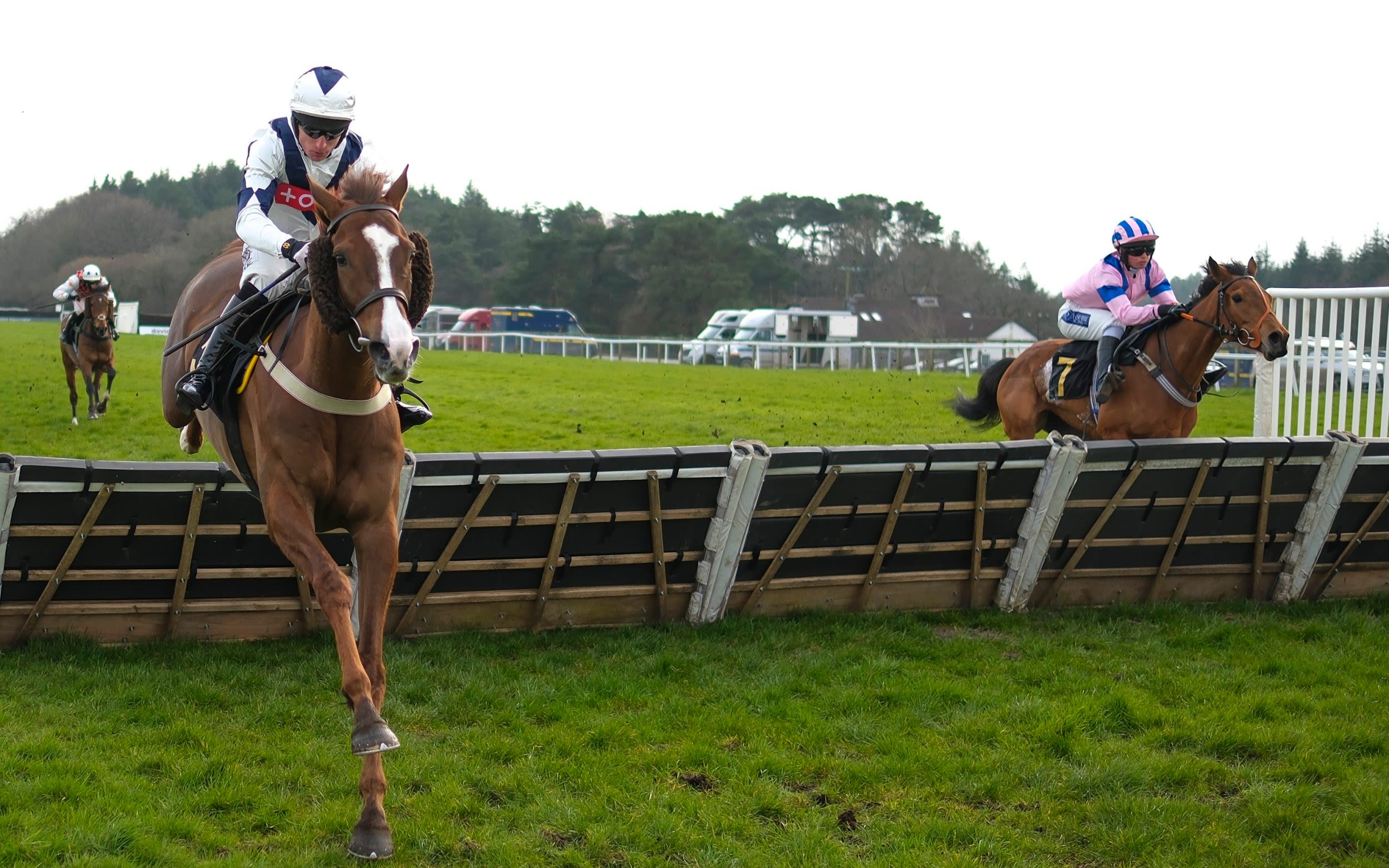 Cheltenham and Aintree to replace traditional birch hurdles with ‘safer’ foam padding