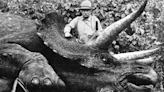 Fact Check: Photo Allegedly Shows Theodore Roosevelt Posing with Last Triceratops. Here's How It Was Made