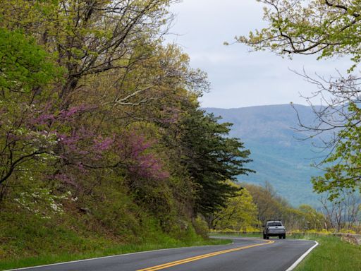 Skyline Drive gets $15 million facelift, making it a smoother trip for Shenandoah National Park visitors