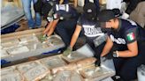 Semar asegura más de seis toneladas de marihuana en Veracruz