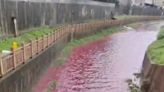深圳鵝公嶺附近水渠驚變紅河惹議 官方：環境示蹤劑無毒無害